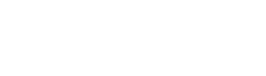 Media bolditalic