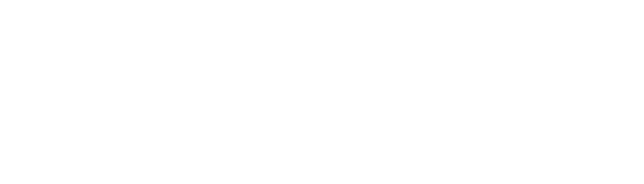 Media the verge